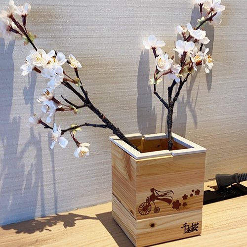 千本桜×蒔絵室内用プランター　※お届けは2023年3月上旬予定